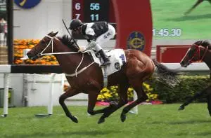 Exultant carries great expectations into FWD QEII Cup Exultant