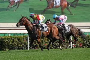 Wellington’s star on the rise Wellington