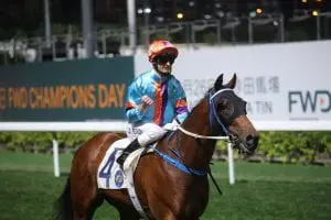 Purton hits the century Dances With Dragon