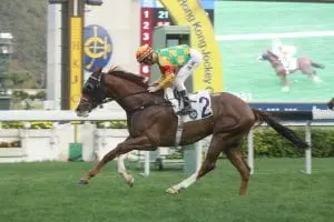 New best for Yiu as Mighty Giant impresses Mighty Giant