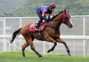 Thanks Forever in blinkers for Group 1 Chairman’s Sprint Prize Thanks Forever