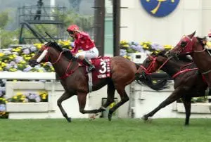 Mr Stunning lifts for a Chairman’s Sprint Prize shock Mr Stunning