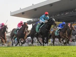 A look at the Group One All Aged Stakes Pierata