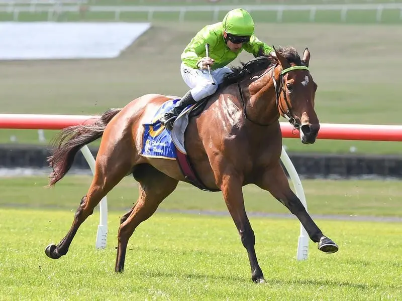 Australasian Oaks runner Affair To Remember.