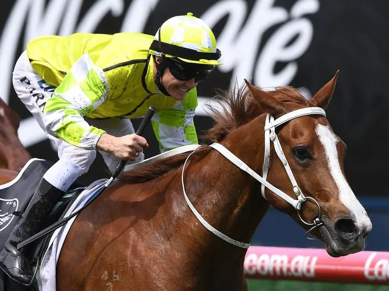 Eduardo resumes after a spell at Caulfield.