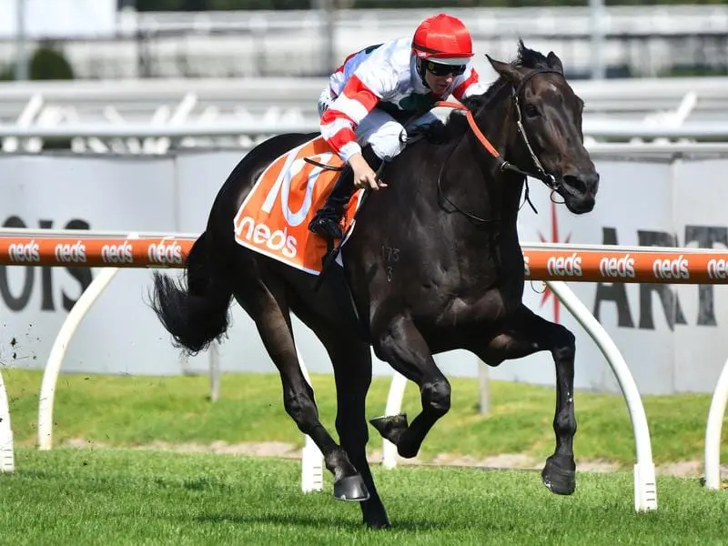 Miss Siska wins at Caulfield.