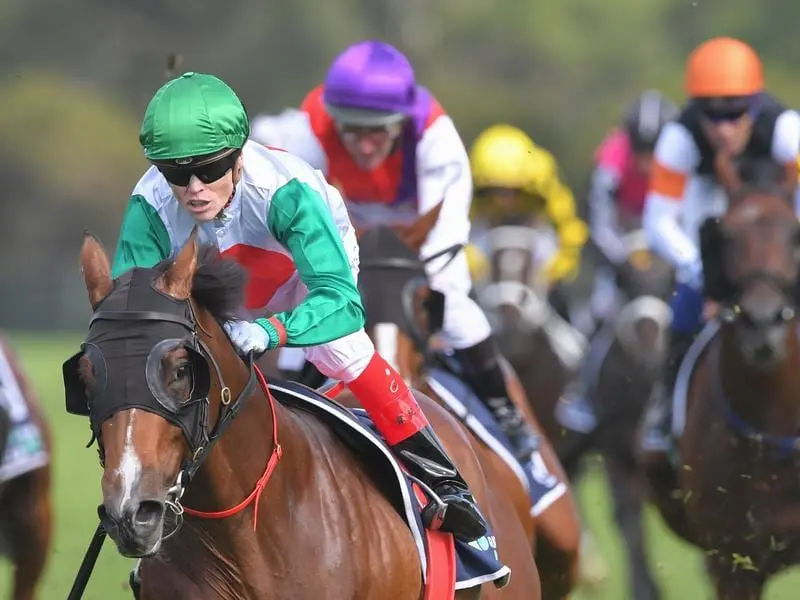 Castelvecchio is an early favourite to emulate his sire as an ATC Australian Derby winner. Castelvecchio wins the Rosehill Guineas.