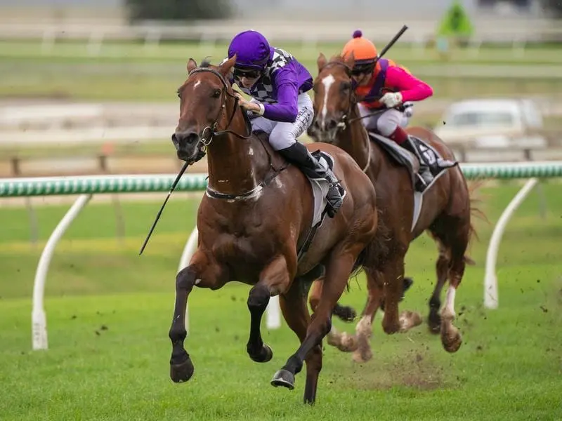 Sabkhat wins at Doomben.