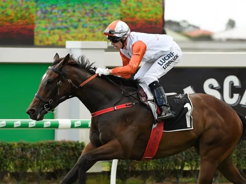 Stampe wins at Doomben.