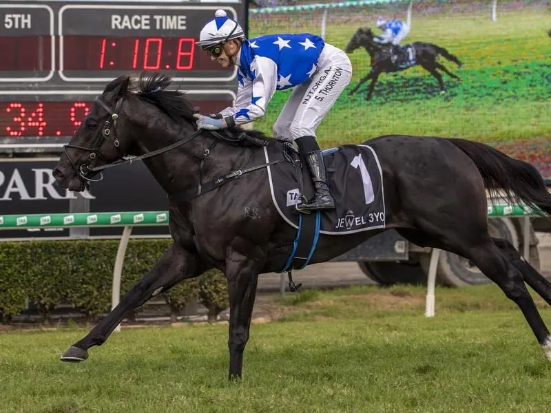 Prolific winning three-year-old The Odyssey gets some welcome weight relief at Doomben. the odyssey