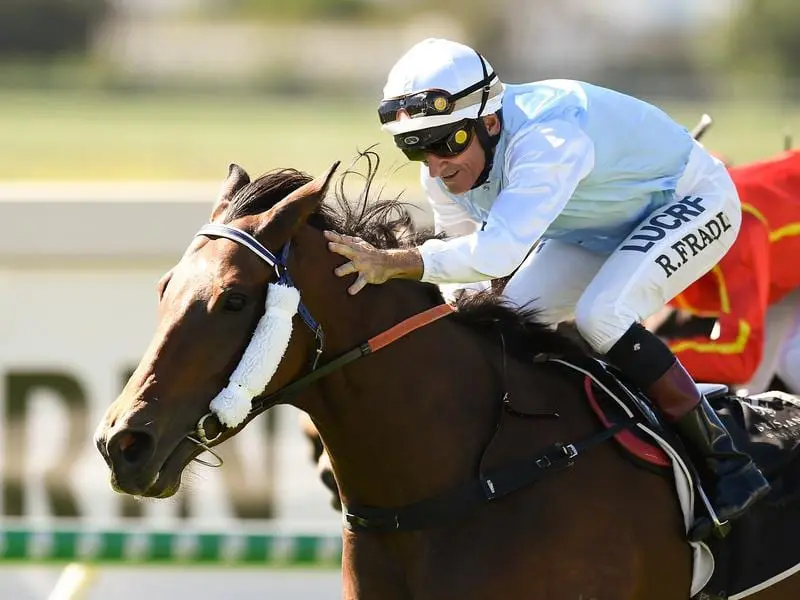 River Racer will be one of two runners for trainer Les Ross in the Open Handicap at Doomben. river racer