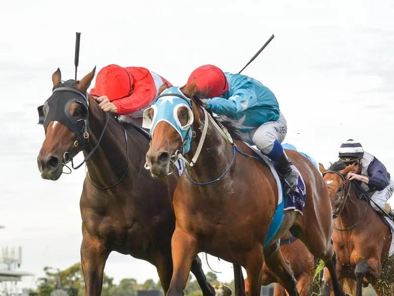 Sacramento (left) beats Saint Eustace in the VRC St Leger.