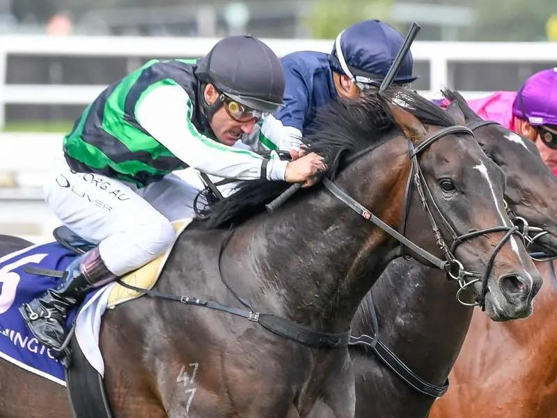 Flying Award wins the Anzac Day Stakes.