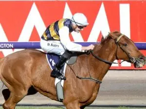 Settled Haky lands strong Flemington win Haky