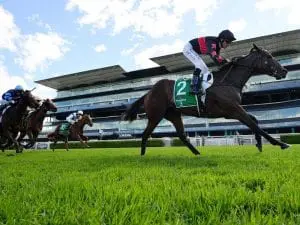 Away Game scheduled to run in Adelaide Group 1 Away Game