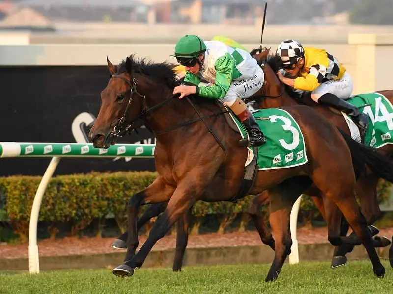 Stradbroke Handicap-bound Outback Barbie has shown her fitness with a Doomben barrier trial win. outback barbie