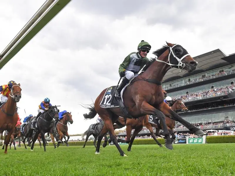 Everest winner Yes Yes Yes has been introduced to the Coolmore stallion roster at $38.500. yes yes yes