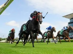Pride eyeing off Everest slot for Fasika Fasika