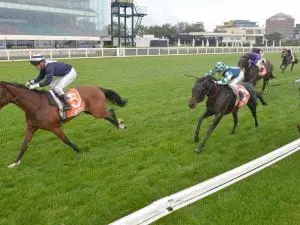 Lindsay Park looks to St Leger with Bellx Bellx