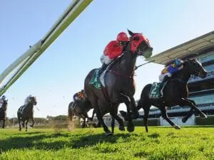 Dual Everest winner Redzel retired Redzel