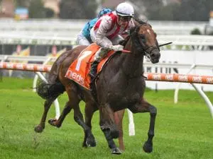 Super Seth off to Waikato Stud this season Super Seth