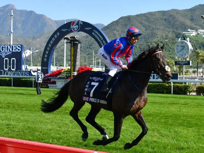 Two-time Melbourne Cup placegetter Prince Of Arran.