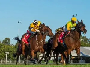 Tambo’s Mate earns winter stakes campaign Tambo's Mate