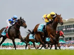 Vega One to begin Stradbroke build-up Vega One