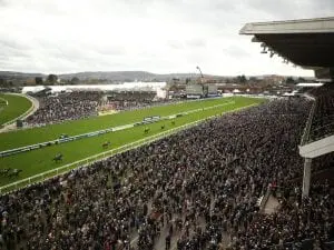 Return to British racing to remain on hold Cheltenham Festival