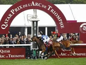 France Galop hopes to resume racing soon France Galop