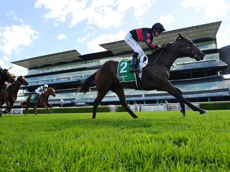 Away Game has continued a long and profitable juvenile campaign with her Group Two win at Randwick. Away Game wins the Group Two Percy Syke Stakes.