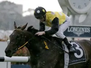 Time almost up for Group 1-winning mare In Her Time