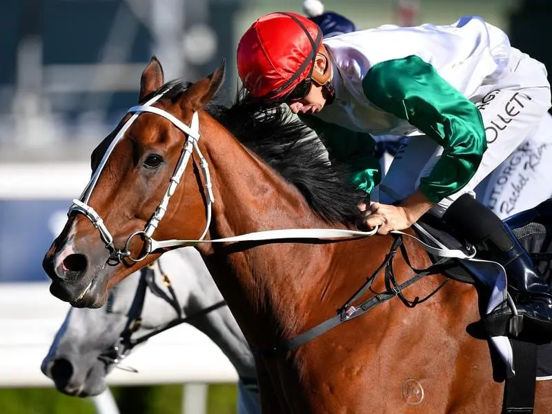Life Less Ordinary has broken a run of outs extending almost 12 months in winning at Randwick. Life Less Ordinary wins at Randwick.