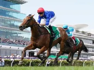 Rubisaki poised to cap season at Randwick Rubisaki