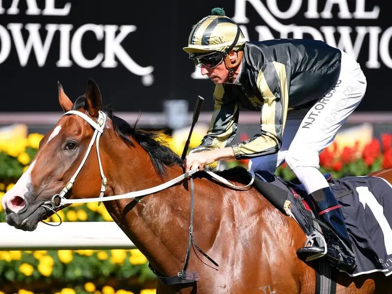 Snitz wins at Randwick.