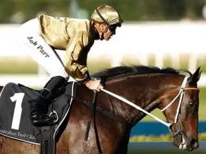Tactical Advantage storms to Rosehill win Tactical Advantage