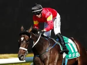 Welsh Legend scores overdue Rosehill win Welsh Legend