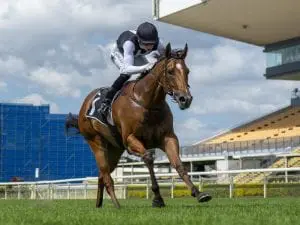 Isotope to miss Spring Carnival after colic attack Isotope