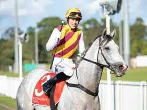Silvera stakes claim for Stradbroke start Silvera