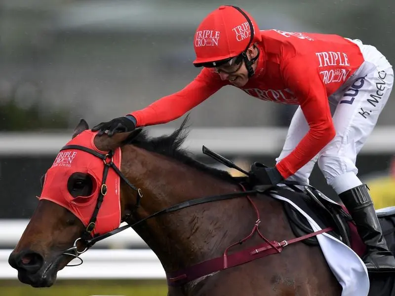Seven-year-old Redzel will be out to upstage his younger rivals in the TJ Smith Stakes at Randwick. redzel