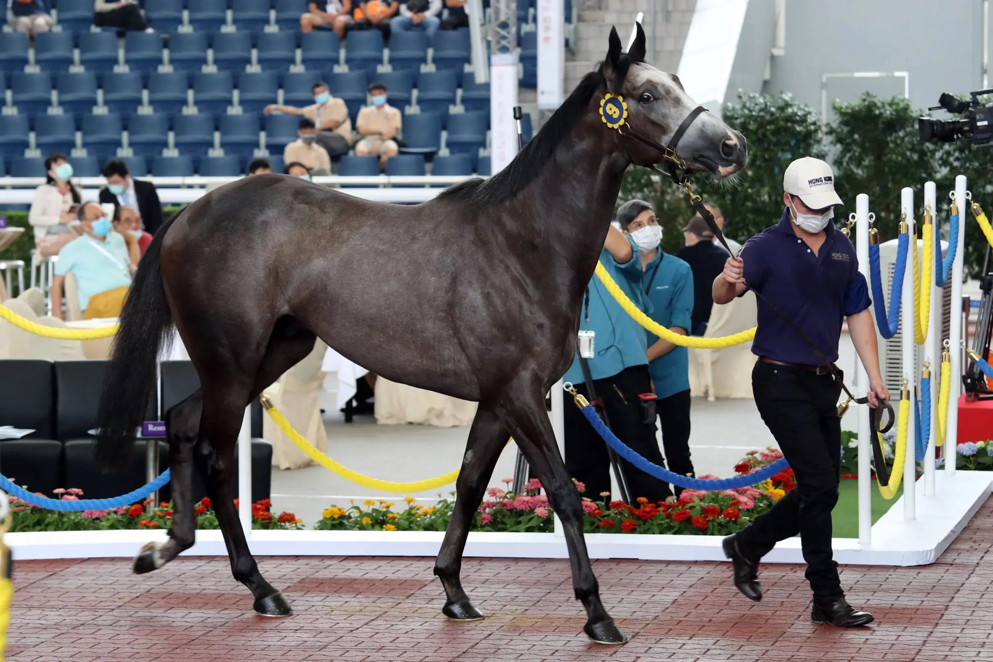 Lot 9