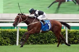 Exultant stamps Horse of the Year claim with Champions & Chater Cup victory Exultant