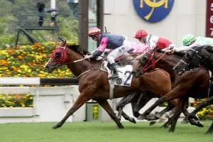 Thanks Forever takes the Sha Tin Vase on a dramatic day for Purton Thanks Forever