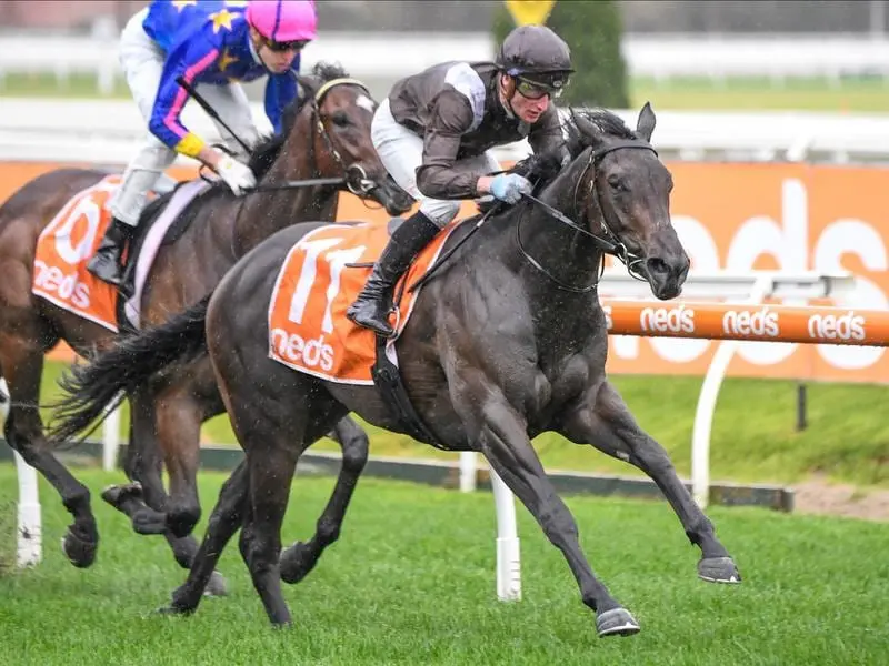 Aidensfield wins at Caulfield.