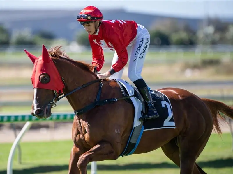 Starosa is in the frame for a Group One JJ Atkins start after scoring a strong win at Doomben. Starosa on her way to winning at Doomben.