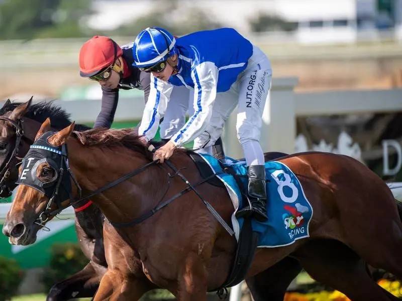 Vanna Girl wins the Doomben Guineas.