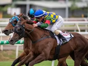 Cosmic Gossip win seals JJ Atkins start Cosmic Gossip