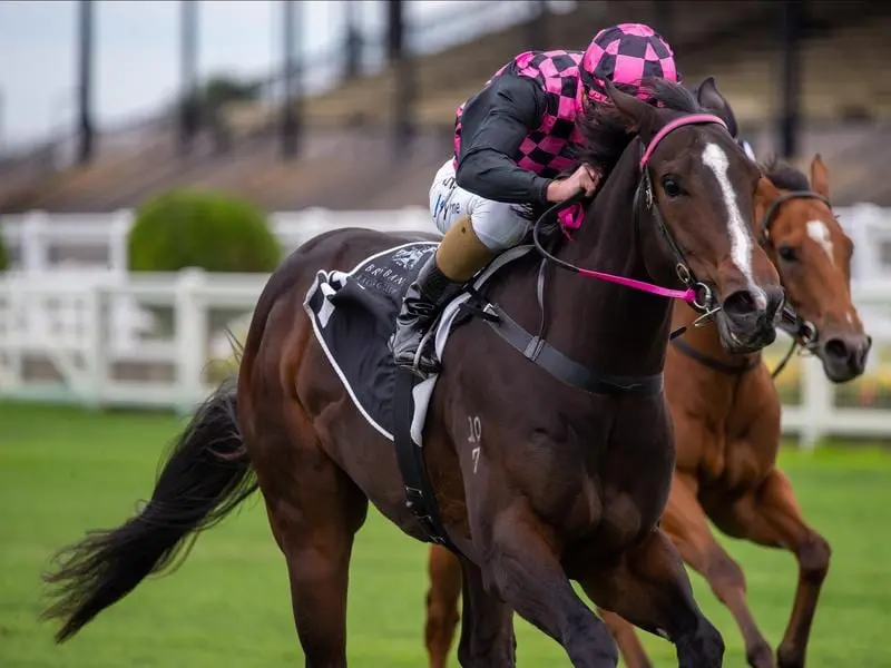 Rothfire cemented his place as a leading JJ Atkins chance with a Group Two Champagne Classic win. Rothfire wins the Champagne Classic at Eagle Farm.