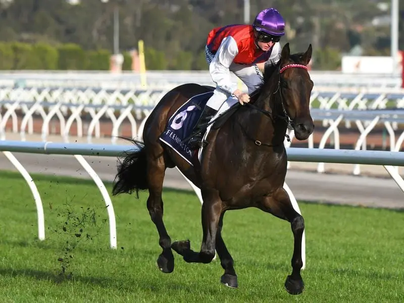 Well-regarded three-year-old King Of Hastings will resume against older horses at Flemington. King Of Hastings returns to racing in the Furphy's Dash.