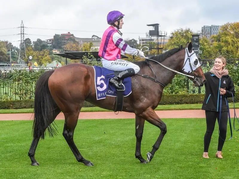 Craig Newitt returns to scale on Immortal Love.